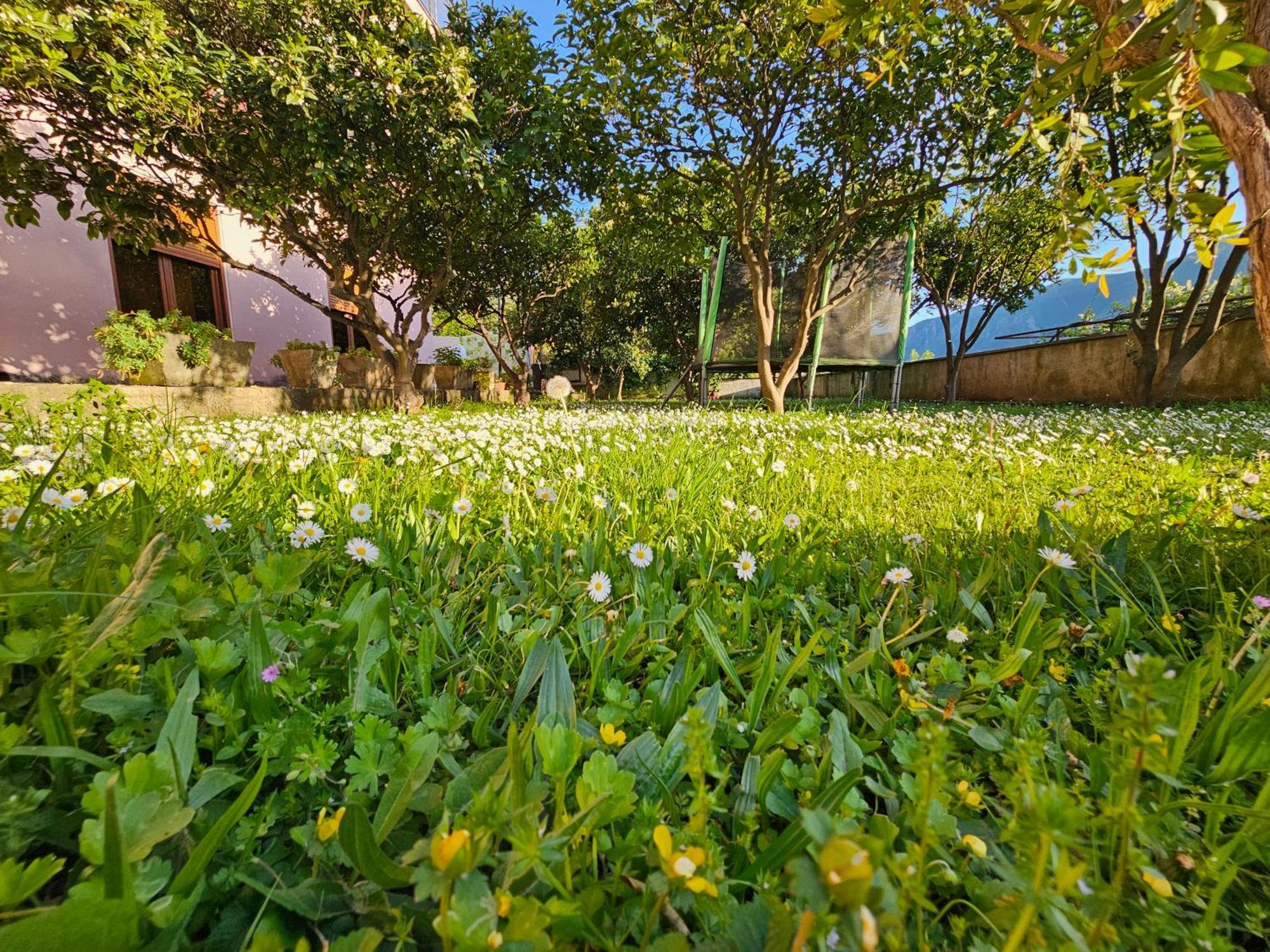 Modern Seaside Escape - Stunning Sea View - Private & Stylish Apartment โกตอร์ ภายนอก รูปภาพ